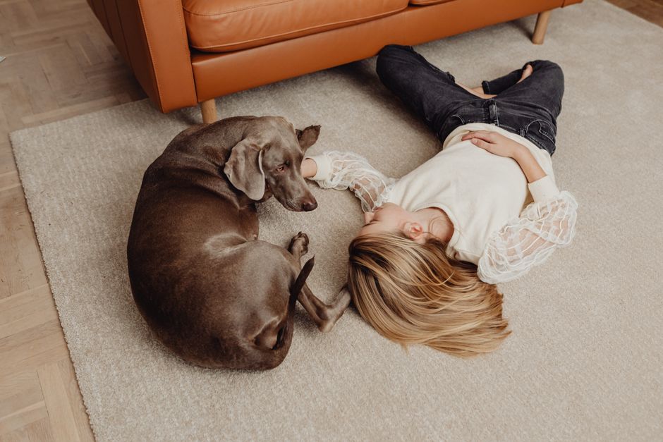 Carpet Defenders, carpet cleaning services covering Redditch Pet Stain & Odour Removal in Redditch