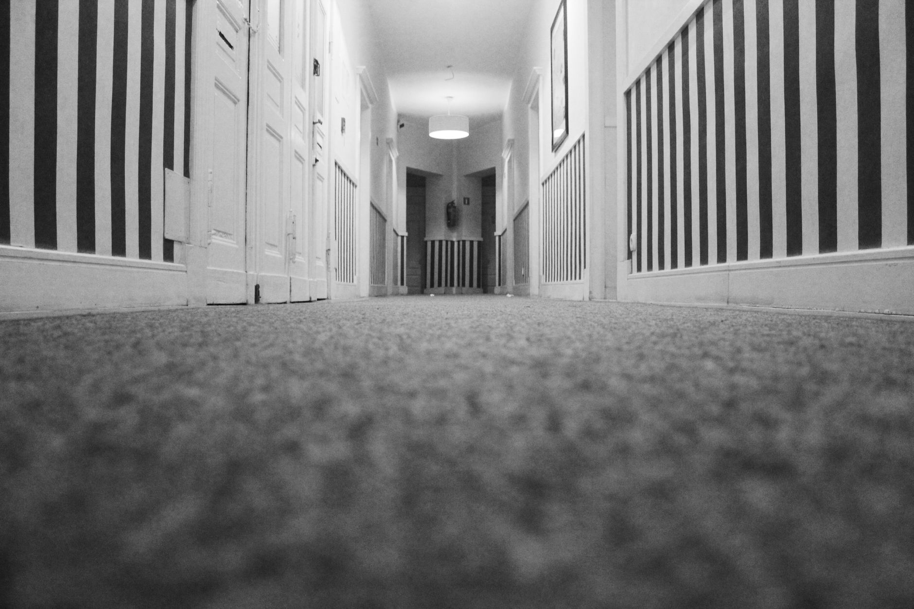 Carpet Cleaning services in South Birmingham, Carpet Defenders