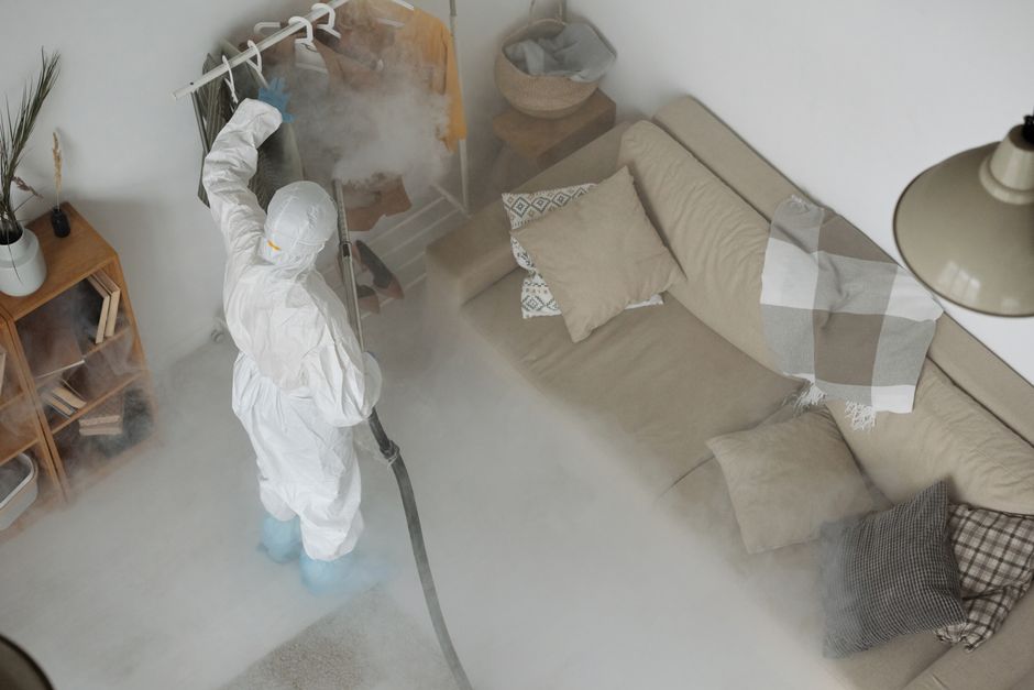 Carpet Cleaning in South Birmingham