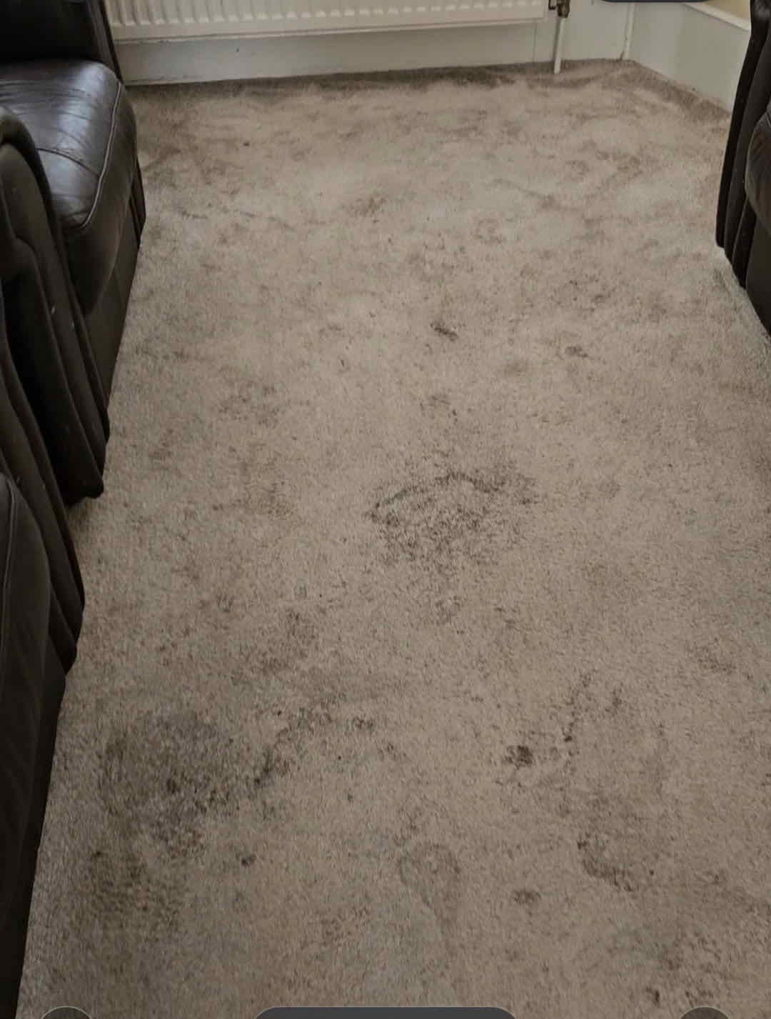 Beige living room carpet with visible dark ground-in stains and traffic marks before cleaning