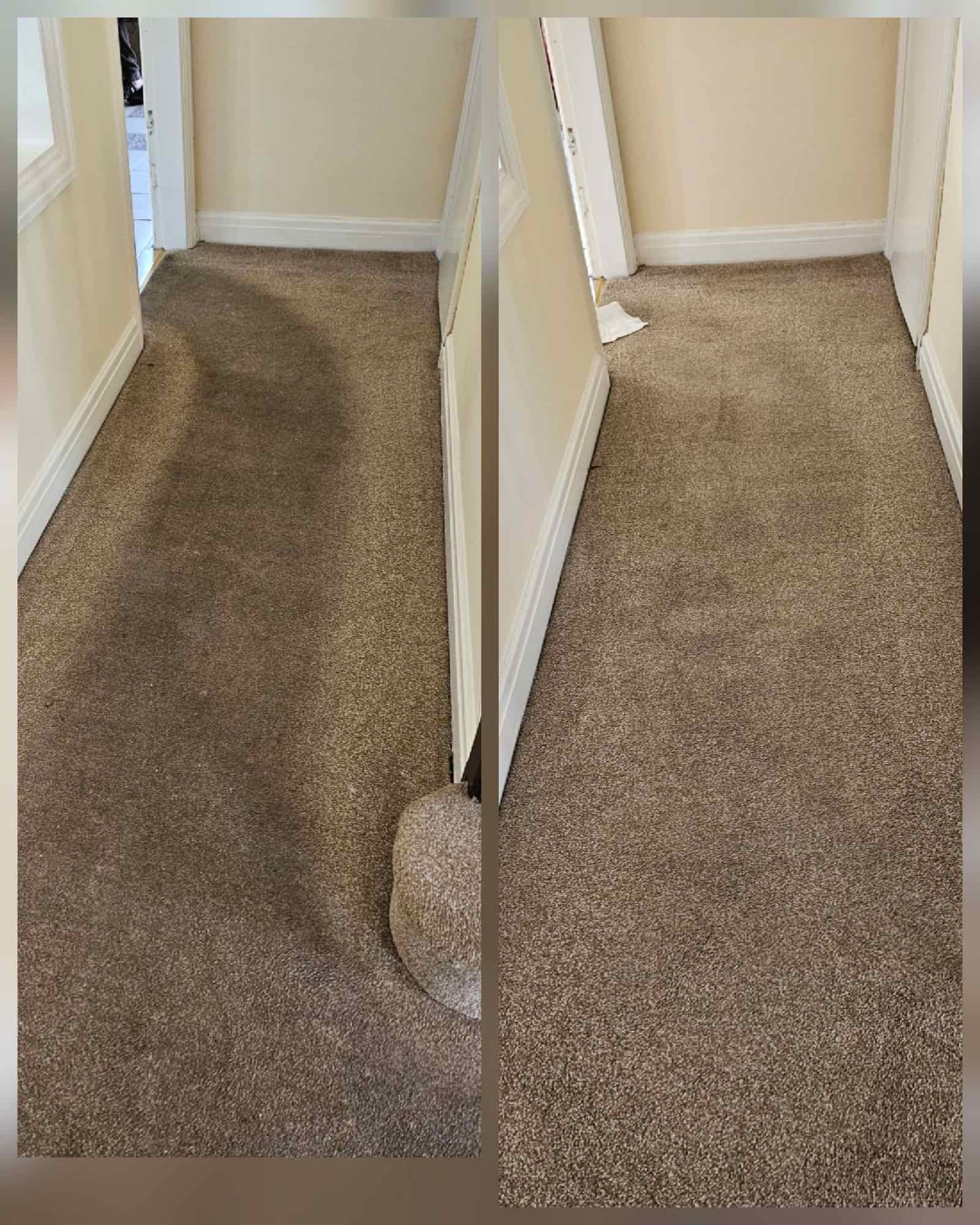 Split before and after photo of a hallway carpet, heavily marked on the left and fully cleaned on the right